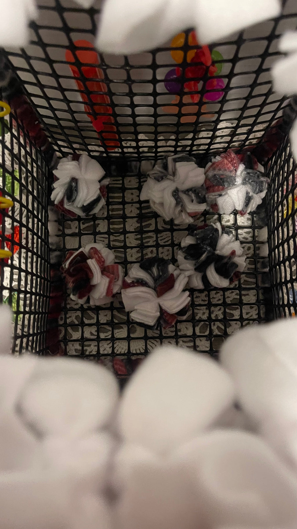 Night before Christmas