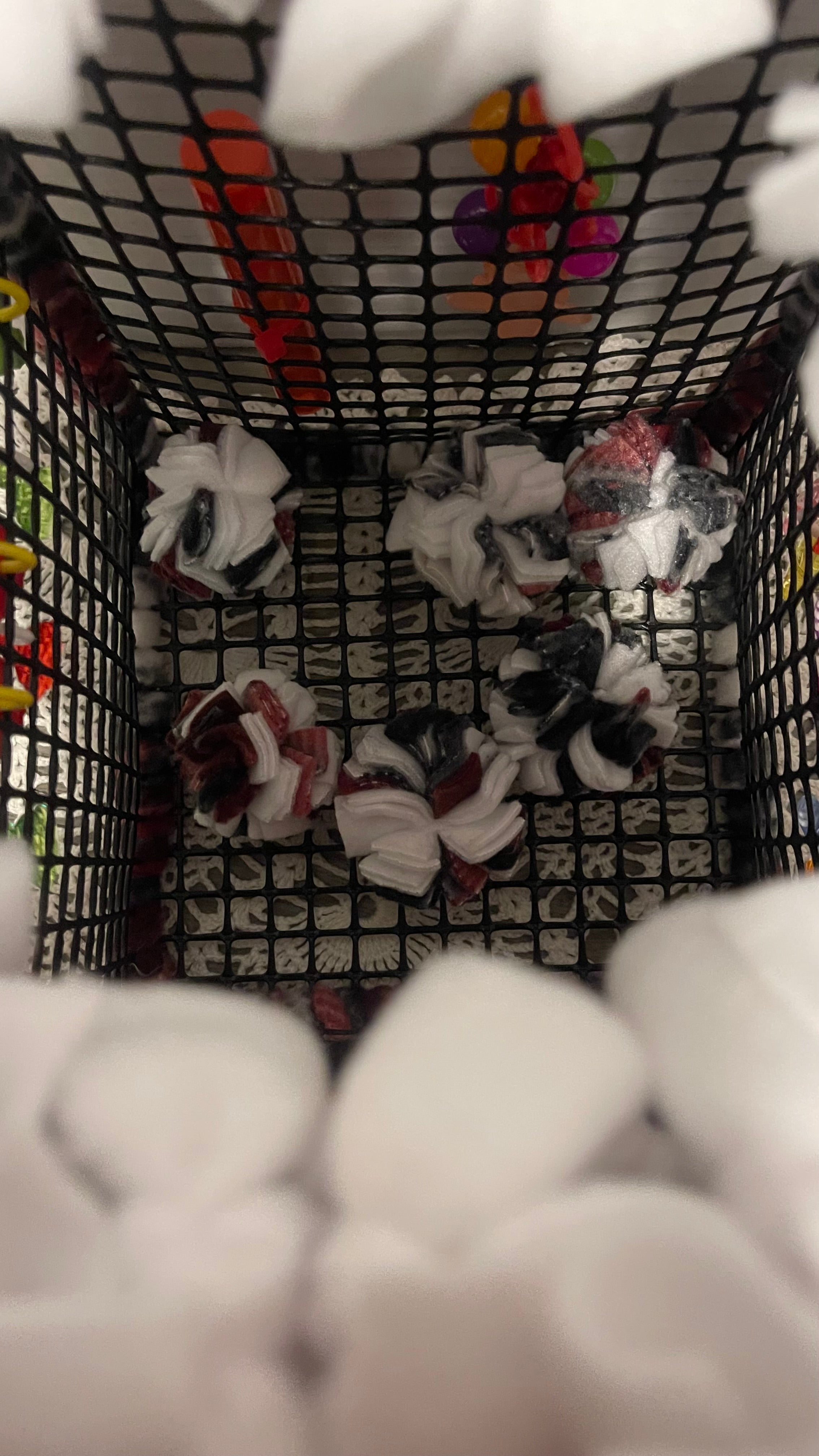 Night before Christmas