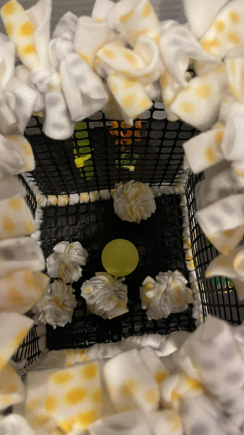 The Buzzing Ball Pit